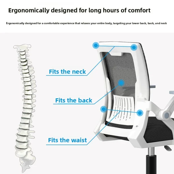 cn-11134207-820l4-mncisrhlmrybaa.webp Ergonomic Mesh Office Chair